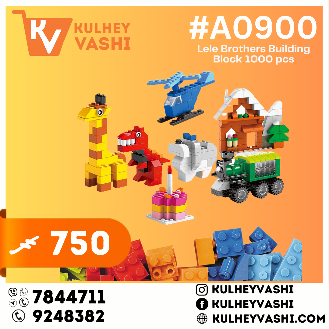 Lele Brothers Building Block 1000 pcs Kulhey Vashi