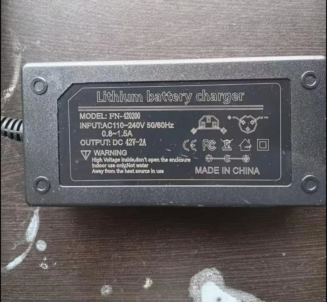 Hoverboard Charger